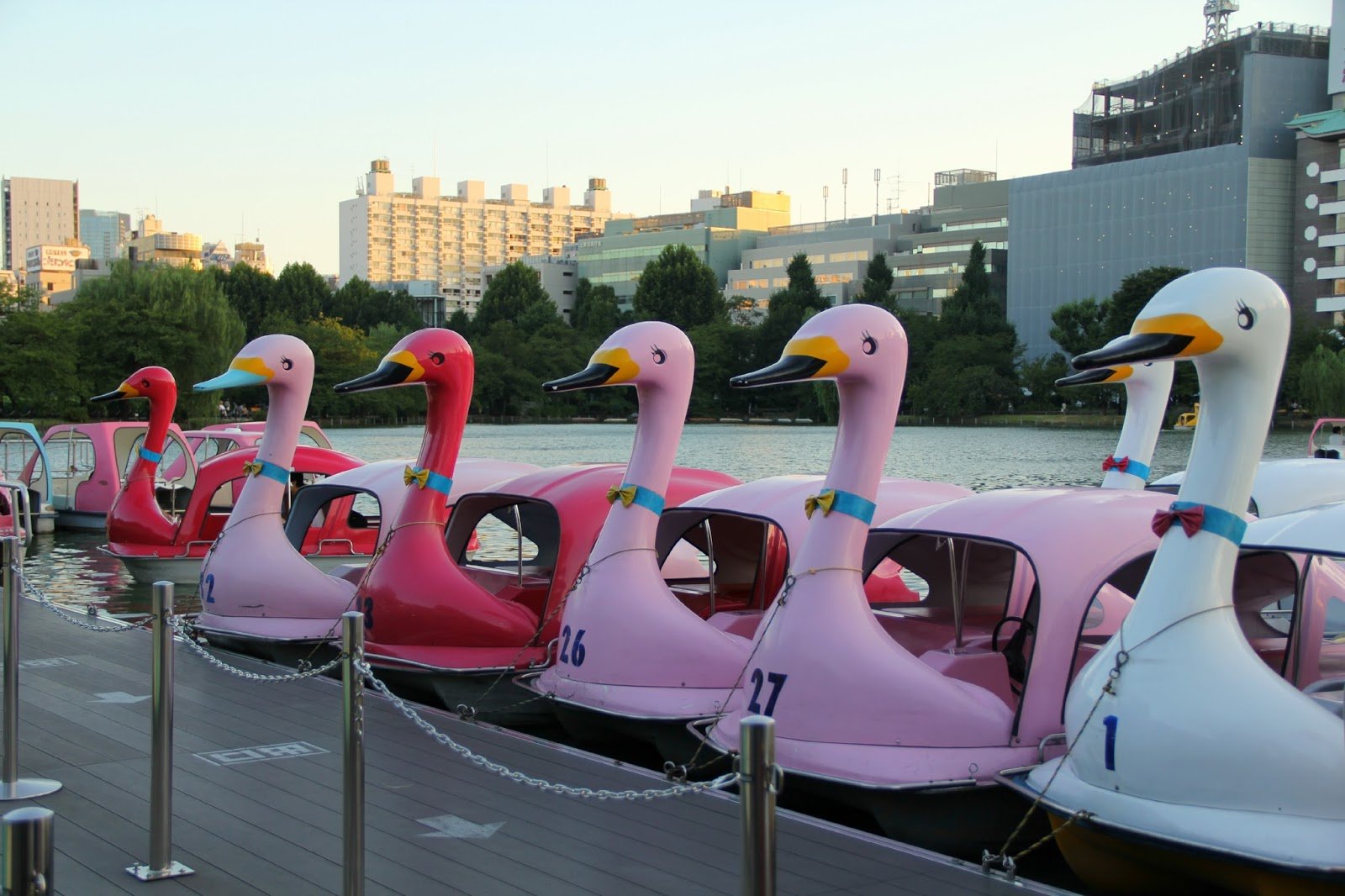 🏞️ 구키 쇼부 공원 이미지 4